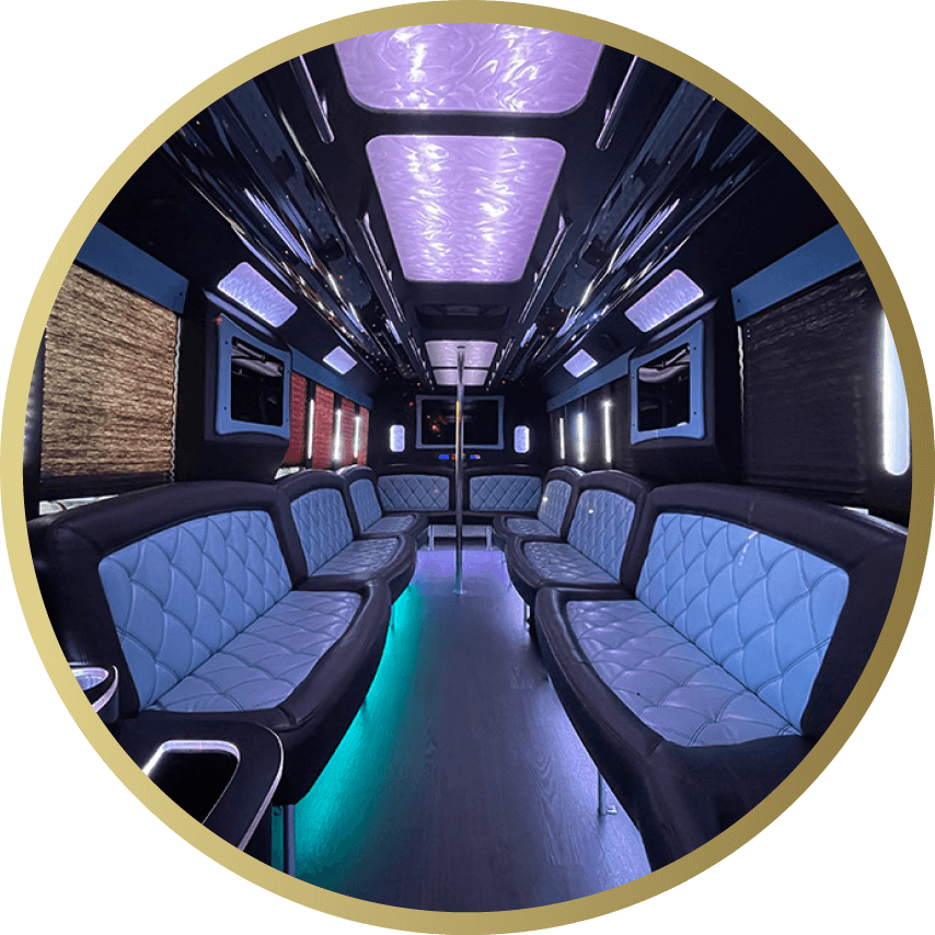 Party Buses Service